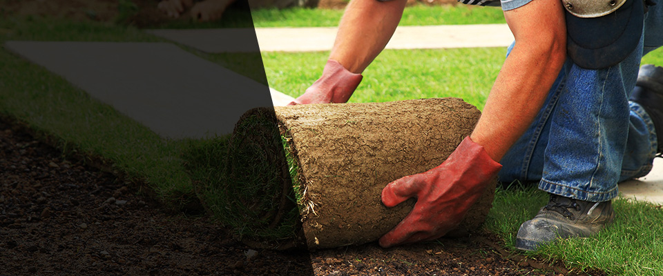 Parrottsville Landscapers